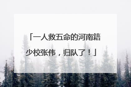 一人救五命的河南籍少校张伟，归队了！
